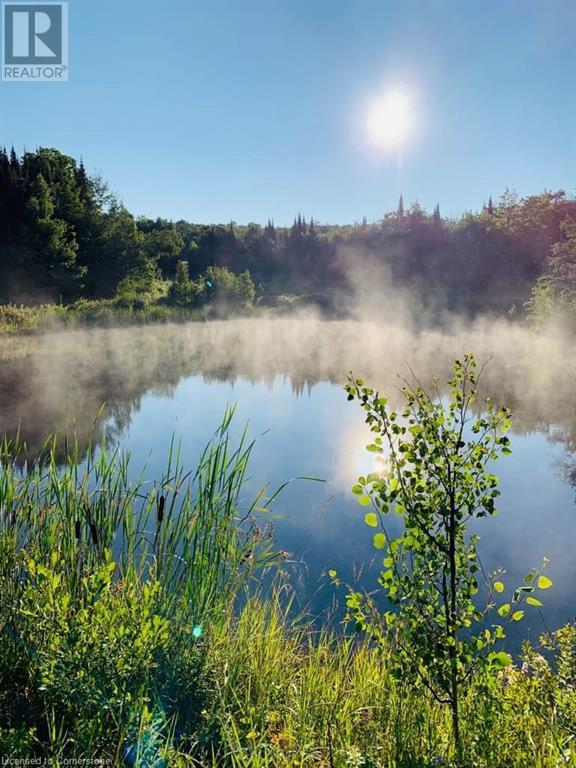 2035 Eagle Lake Road, South River, Ontario  P0A 1X0 - Photo 11 - 40625207