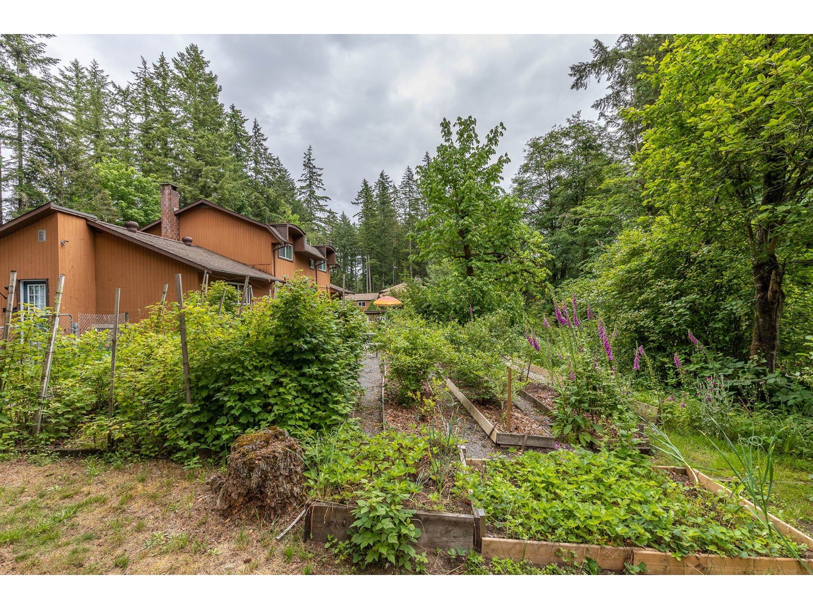 20210 27 Avenue, Langley, British Columbia  V2Z 1X3 - Photo 10 - R2911937