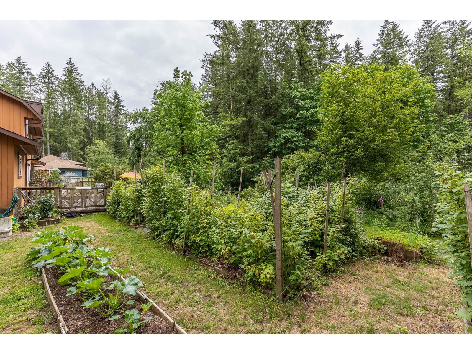 20210 27 Avenue, Langley, British Columbia  V2Z 1X3 - Photo 9 - R2911937