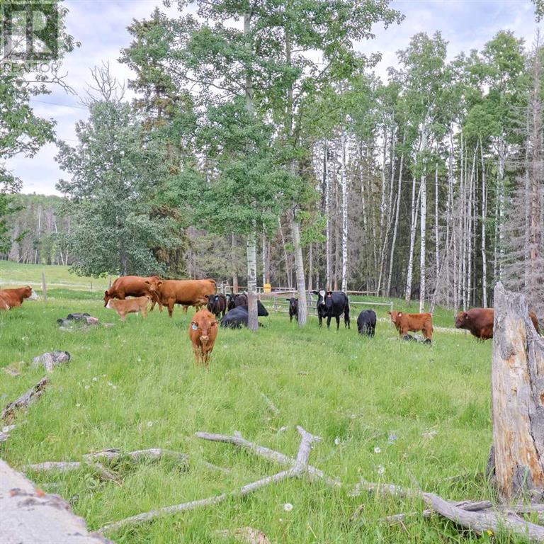 29572 Range Road 54, Rural Mountain View County, Alberta  T0M 0R0 - Photo 9 - A2149911