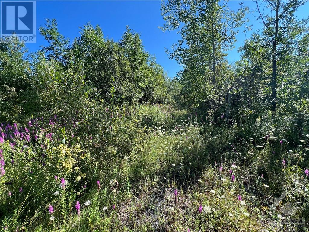 Loch Garry Road, Apple Hill, Ontario  K0C 1B0 - Photo 3 - 1405998