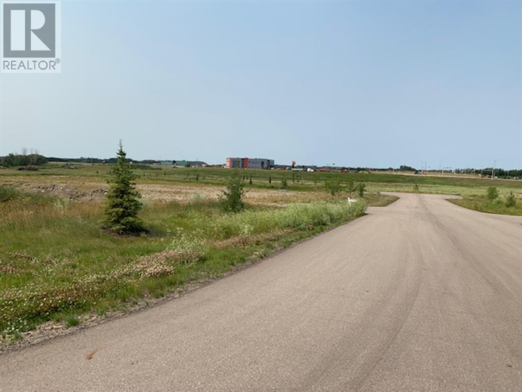 210 Belich Court, Rural Red Deer County, Alberta  T4S 2K5 - Photo 7 - A2155857
