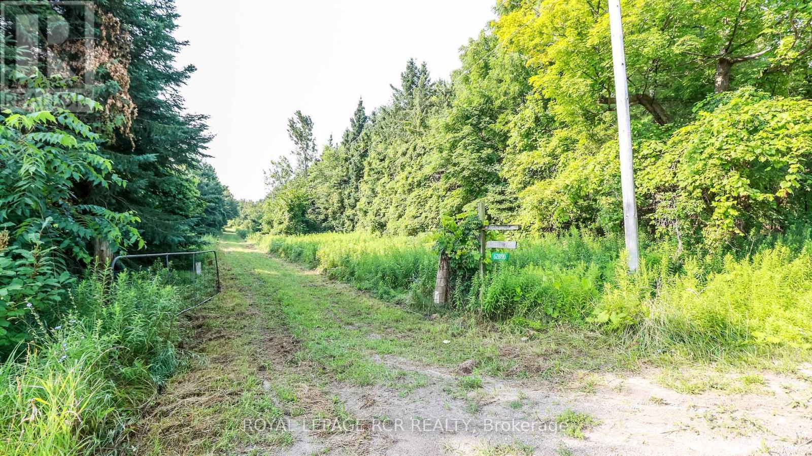 628190 15th Side Road, Mulmur, Ontario  L9V 0T9 - Photo 6 - X9236907