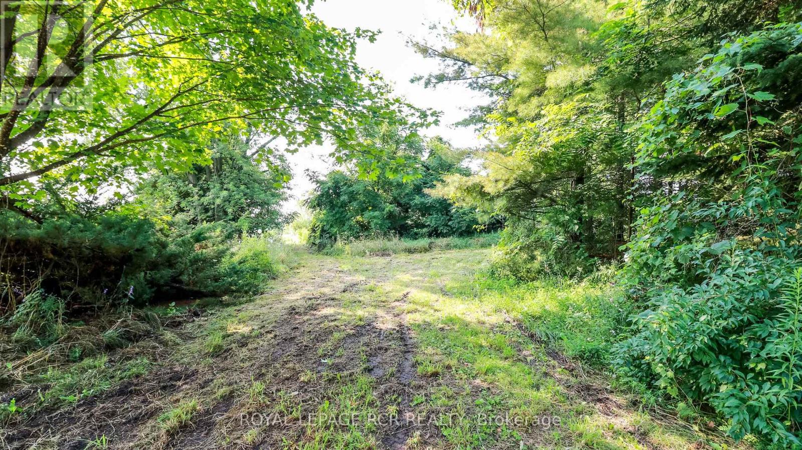 628190 15th Side Road, Mulmur, Ontario  L9V 0T9 - Photo 8 - X9236907