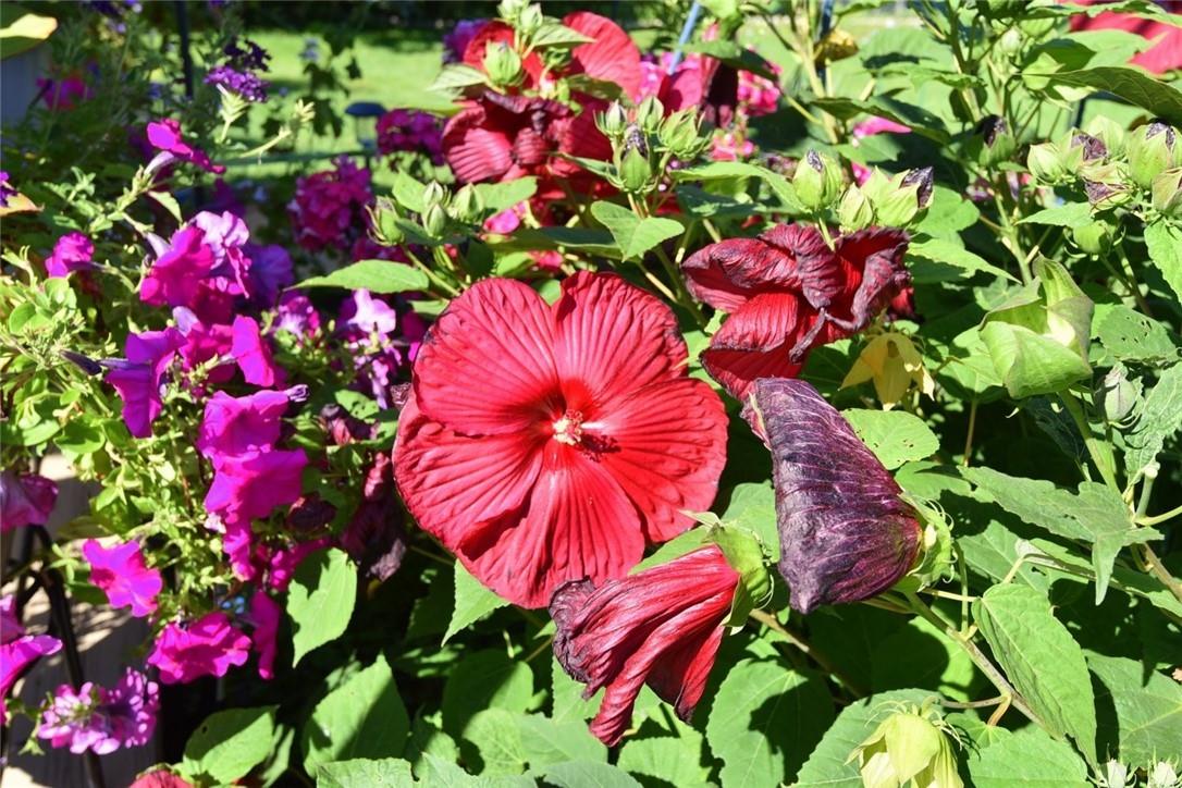 Image of property at 81 KINGSLEA Drive