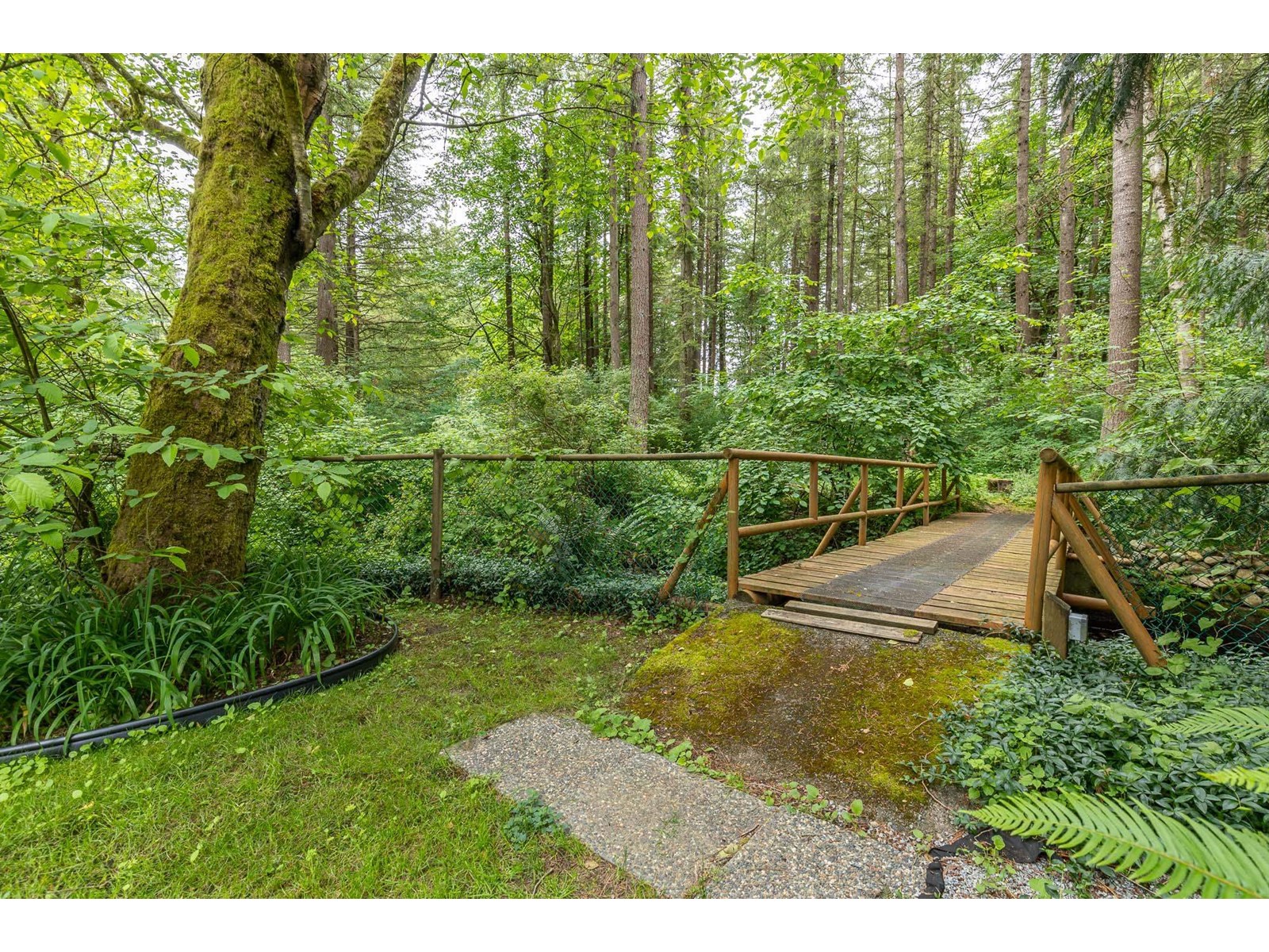 20244 27 Avenue, Langley, British Columbia  V2Z 1X3 - Photo 27 - R2911940