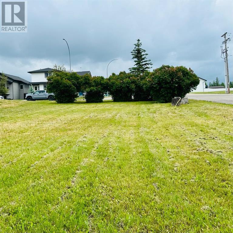4603 44 Avenue, Rocky Mountain House, Alberta  T4T 1C7 - Photo 5 - A2101569