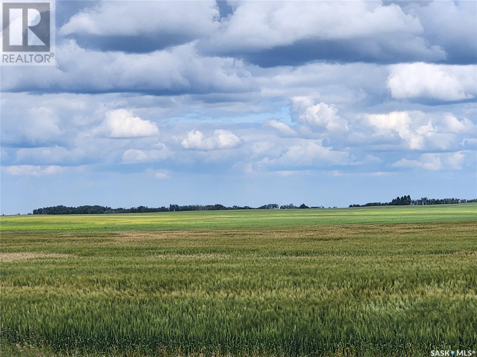 Beattie Farm, Stanley Rm No. 215, Saskatchewan  S0A 0S0 - Photo 29 - SK980111