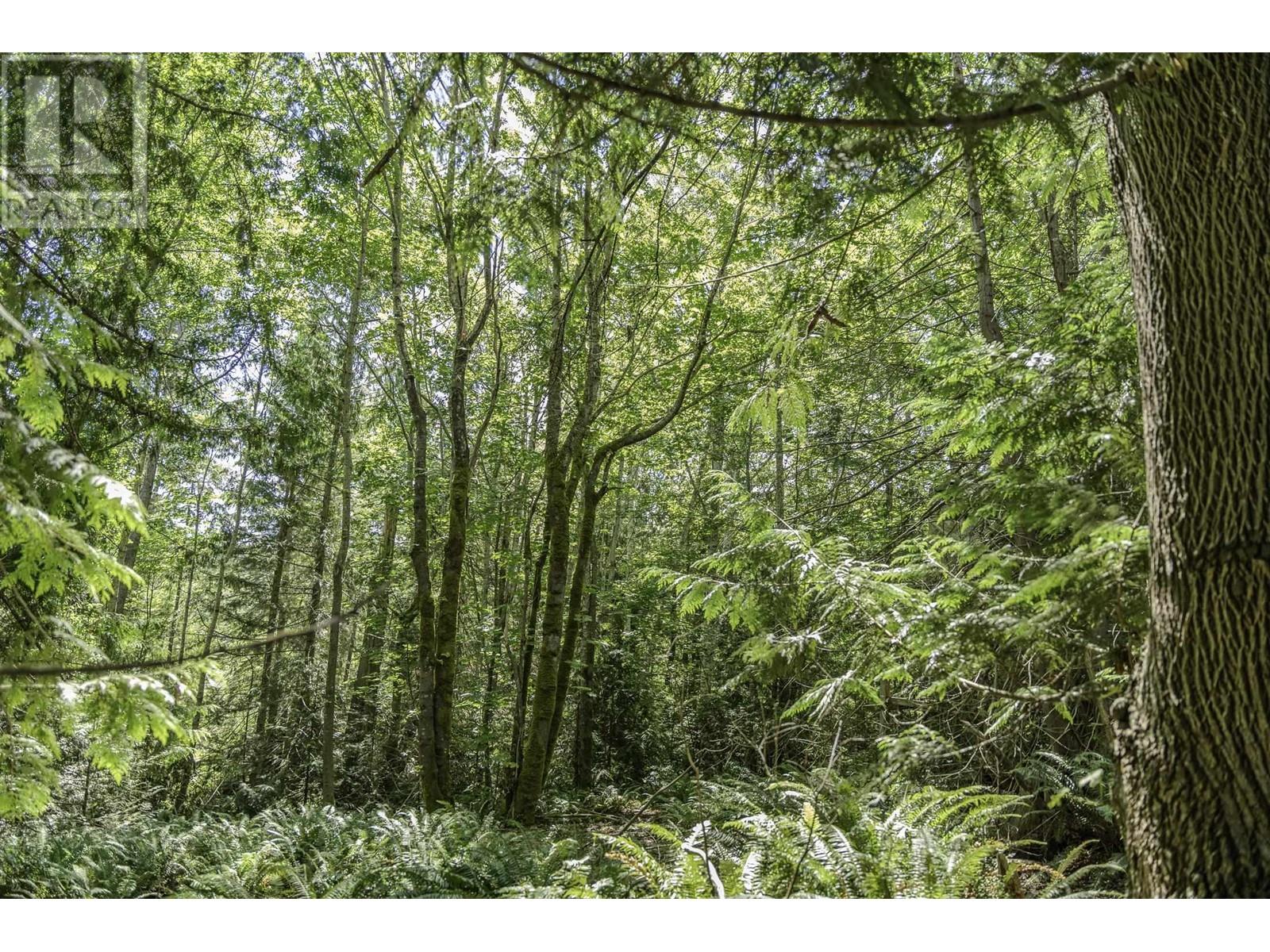 12882 Stone Road, Pender Harbour, British Columbia  V0N 2H1 - Photo 14 - R2897476