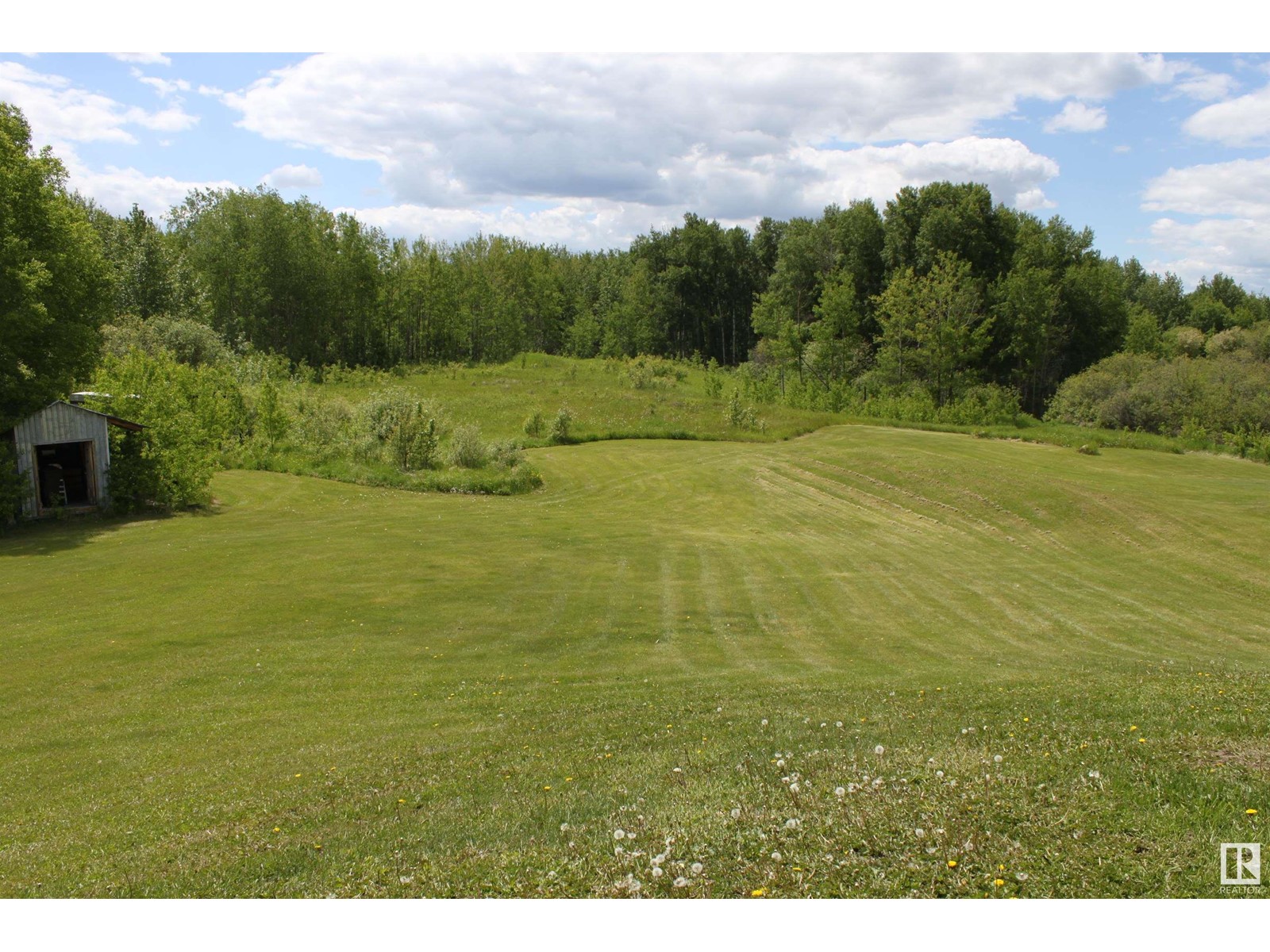 31 50220 Rge Rd 202, Rural Beaver County, Alberta  T0B 4J2 - Photo 22 - E4401202