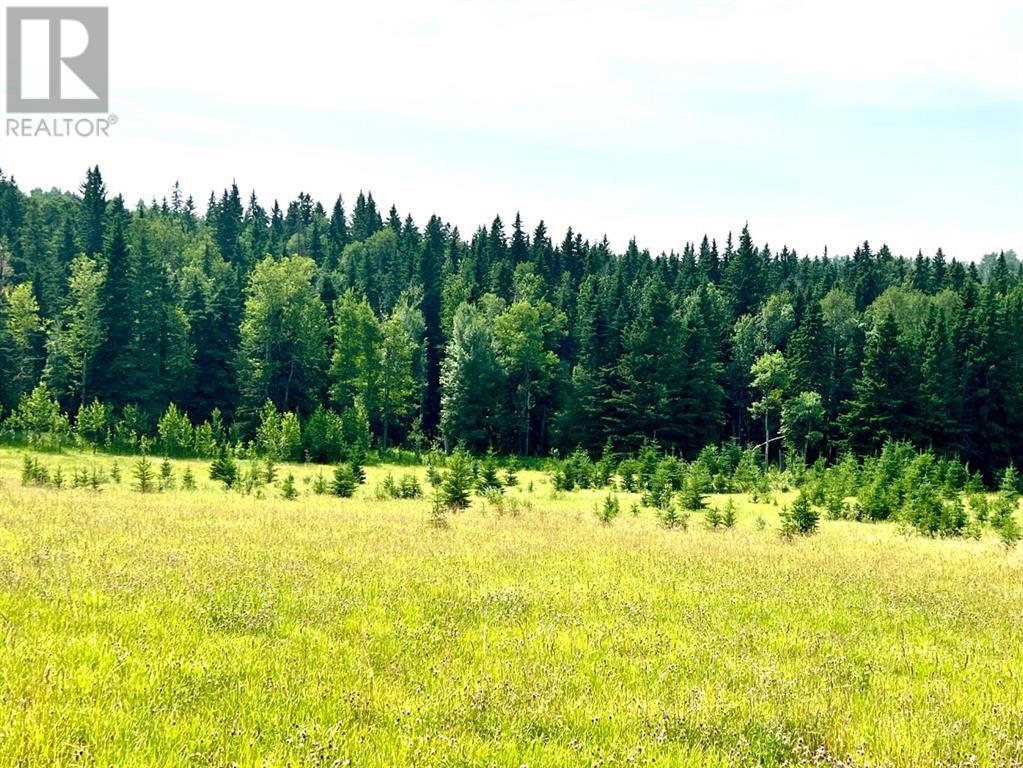 On Hwy 761, Rural Clearwater County, Alberta  T0M 1H0 - Photo 11 - A2154066