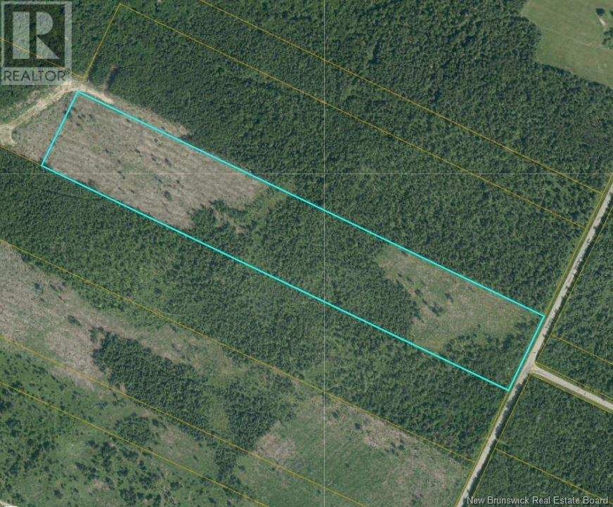 25.2 Acres Rte 445, Fairisle, New Brunswick  E9G 3C1 - Photo 5 - NB104160