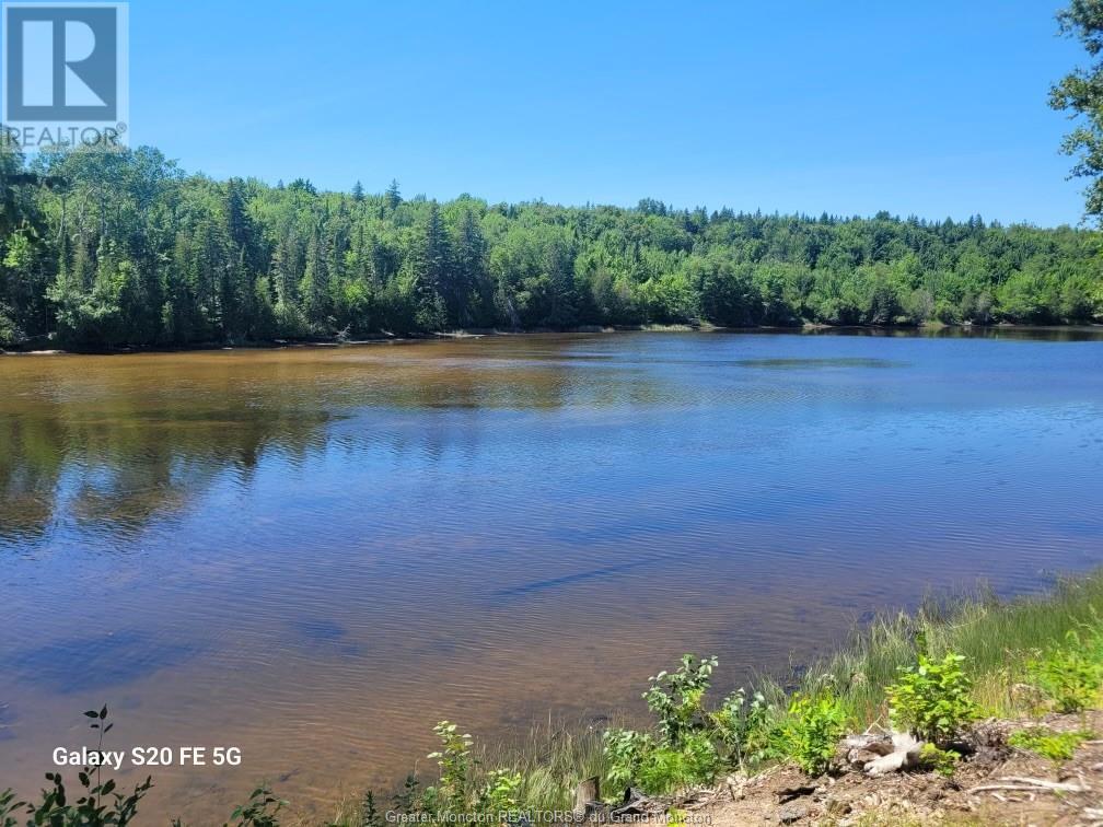 Lot 21-4 Route 495, South Branch, New Brunswick  E4W 3L4 - Photo 1 - M154428