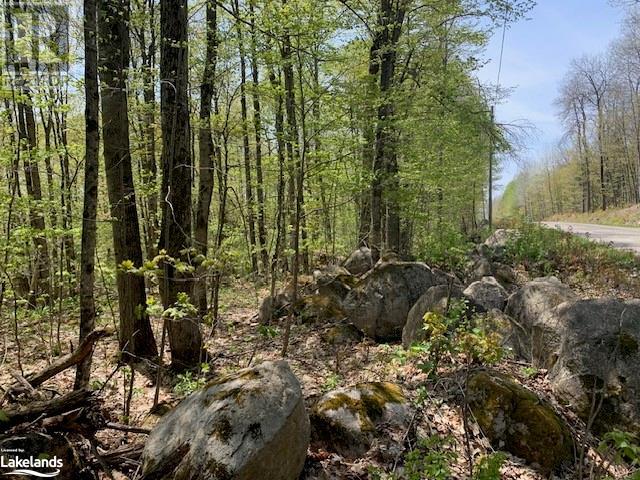 2376 South Horn Lake Road, Magnetawan, Ontario  P0A 1L0 - Photo 3 - 40631512