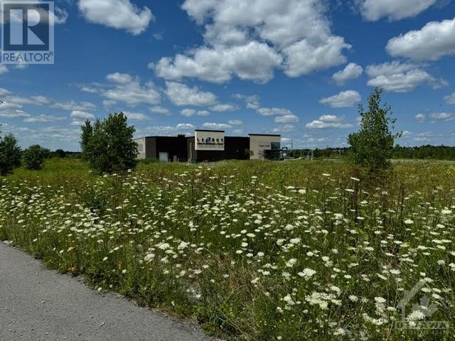 295 Roger Neilson Way, Ottawa, Ontario  K2T 1C4 - Photo 8 - 1403808