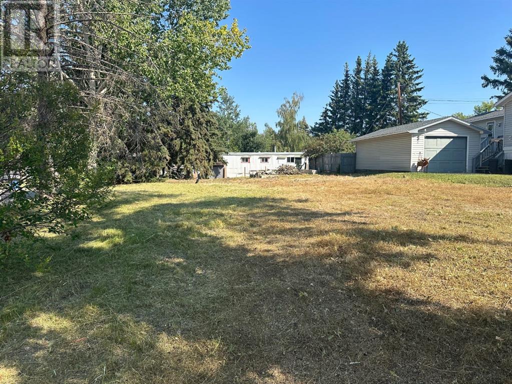 410 5 Street Se, Three Hills, Alberta  T0M 2A0 - Photo 3 - A2105481