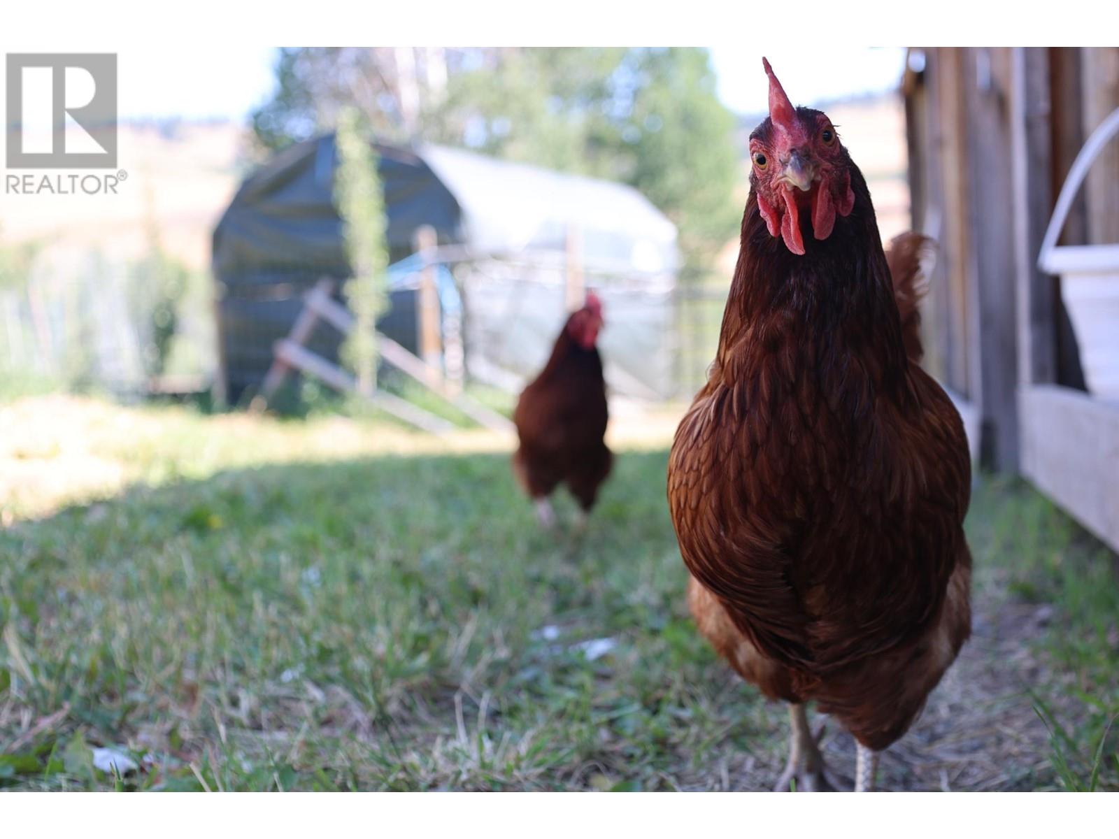 4580 Iron Mountain Road, Merritt, British Columbia   - Photo 26 - 180298