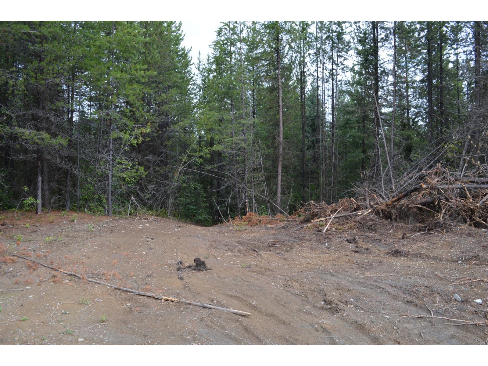 Lot 2 Highway 3, Grand Forks, British Columbia  V0H 1H5 - Photo 13 - 2478746