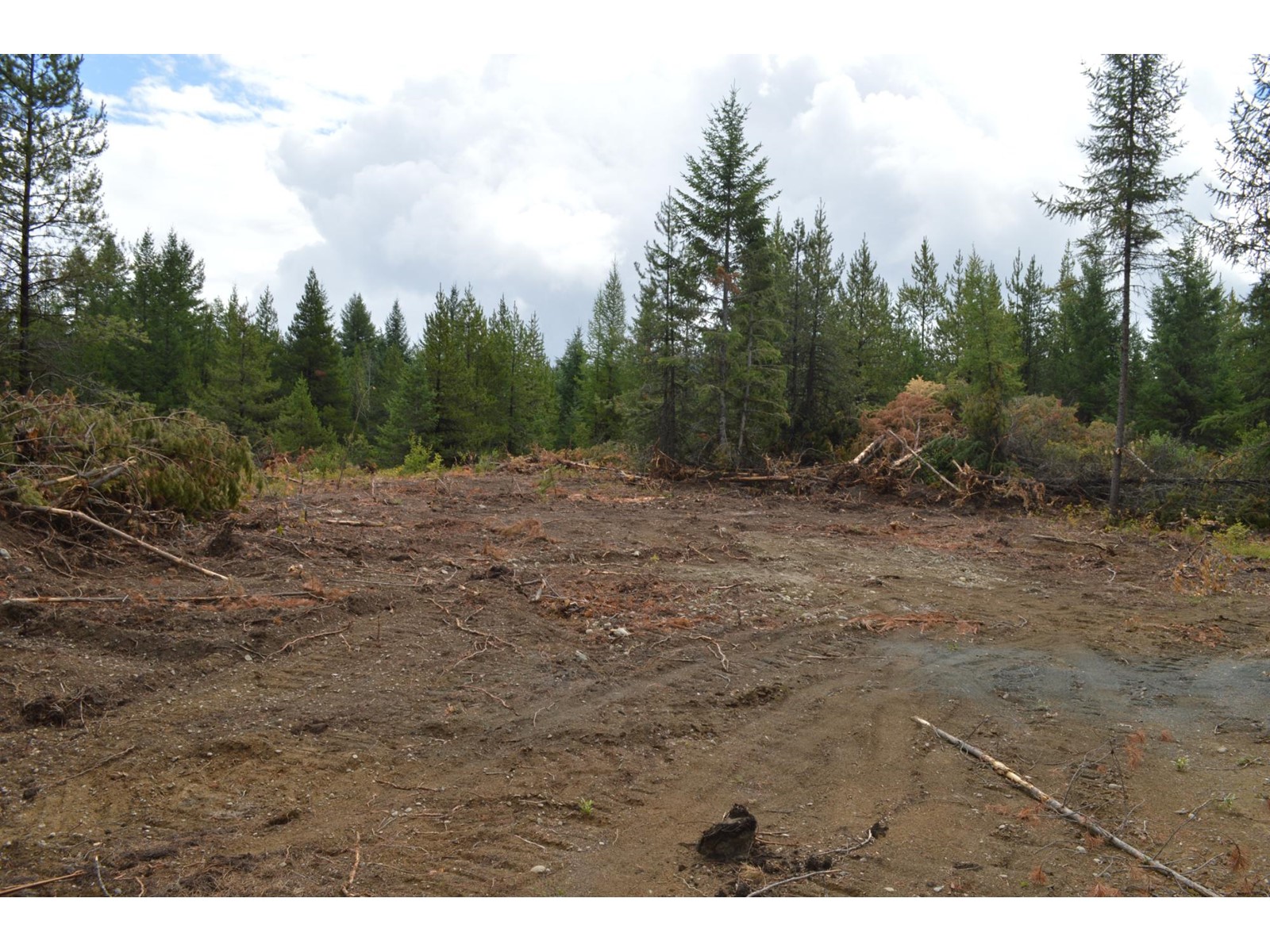 Lot 2 Highway 3, Grand Forks, British Columbia  V0H 1H5 - Photo 9 - 2478746