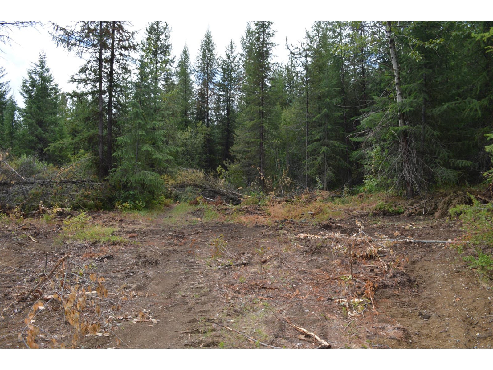 Lot 2 Highway 3, Grand Forks, British Columbia  V0H 1H5 - Photo 10 - 2478746