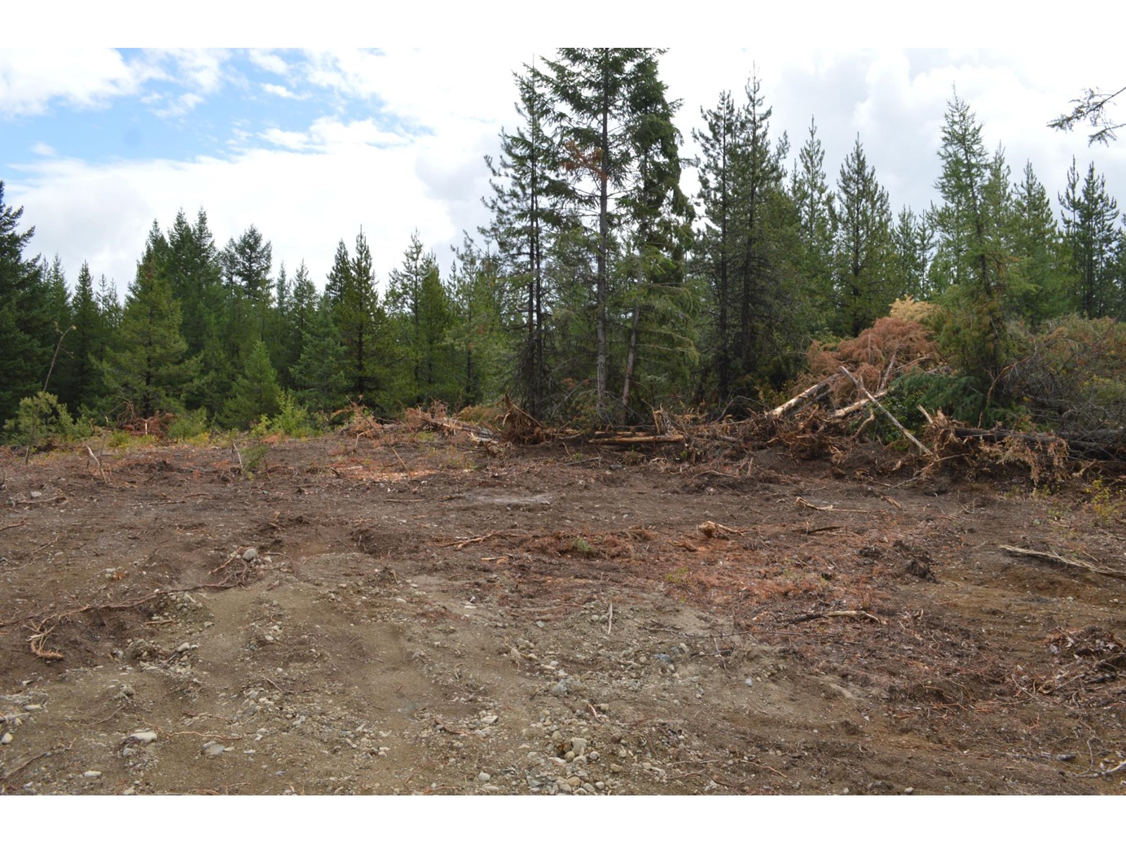 Lot 2 Highway 3, Grand Forks, British Columbia  V0H 1H5 - Photo 11 - 2478746
