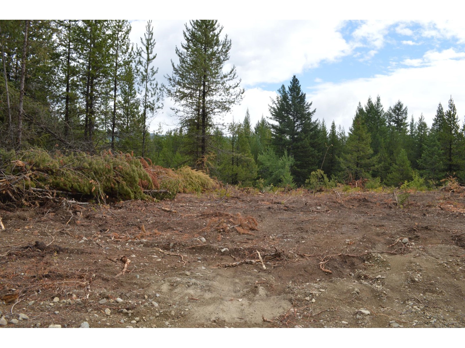 Lot 2 Highway 3, Grand Forks, British Columbia  V0H 1H5 - Photo 12 - 2478746