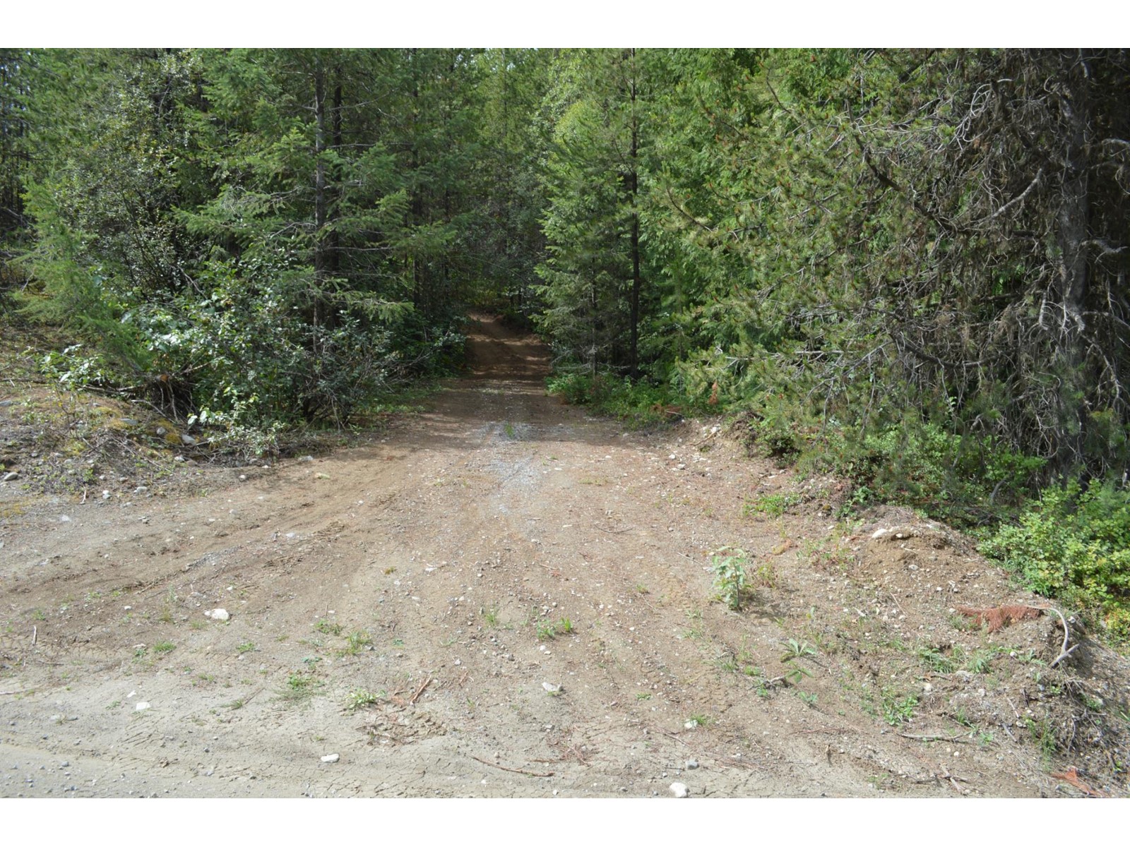 Lot 2 Highway 3, Grand Forks, British Columbia  V0H 1H5 - Photo 7 - 2478746
