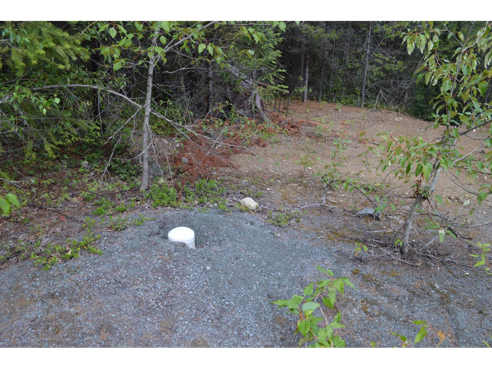 Lot 2 Highway 3, Grand Forks, British Columbia  V0H 1H5 - Photo 8 - 2478746