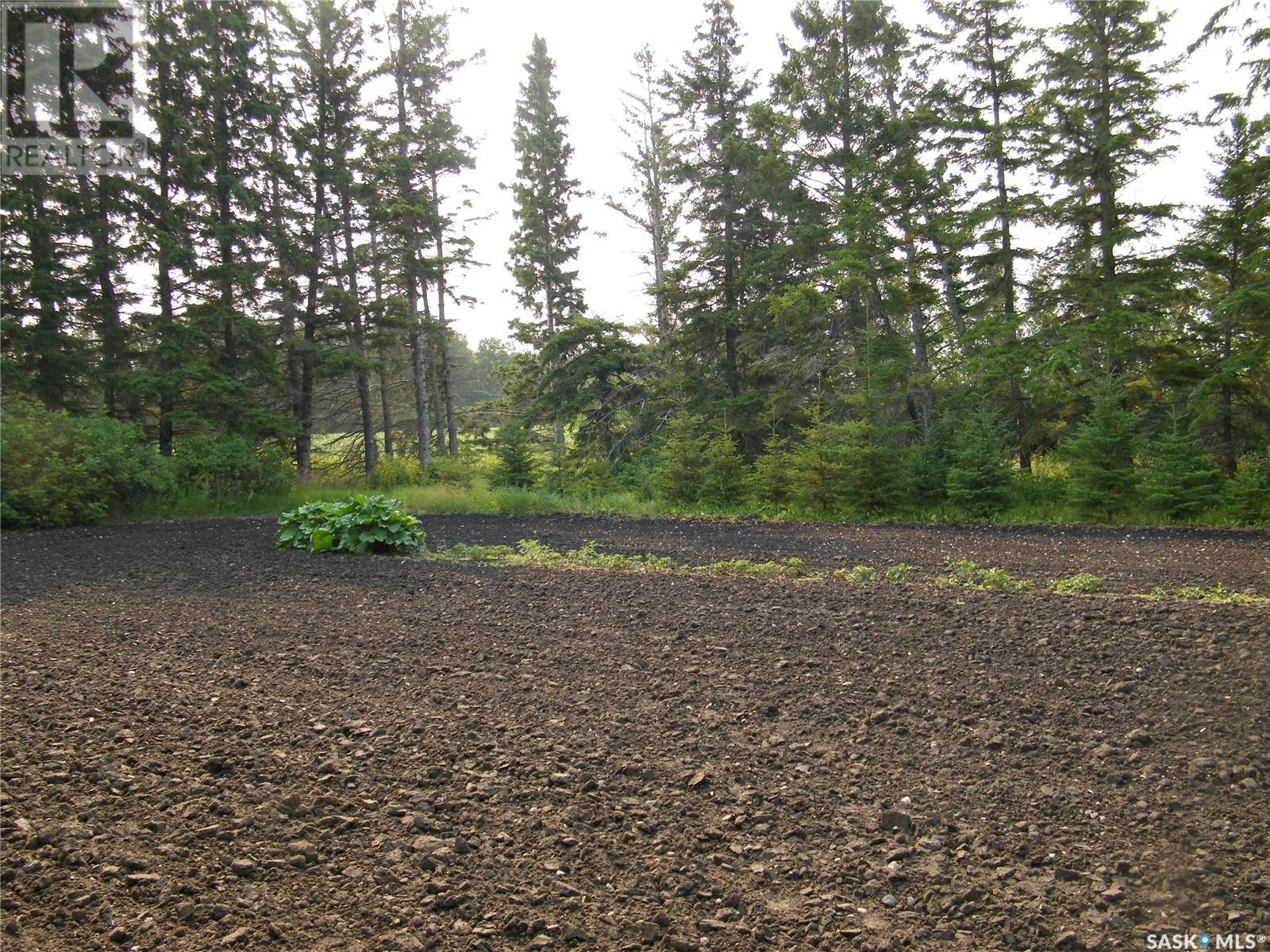 Rm Three Lakes Acreage, Three Lakes Rm No. 400, Saskatchewan  S0K 3G0 - Photo 12 - SK980309