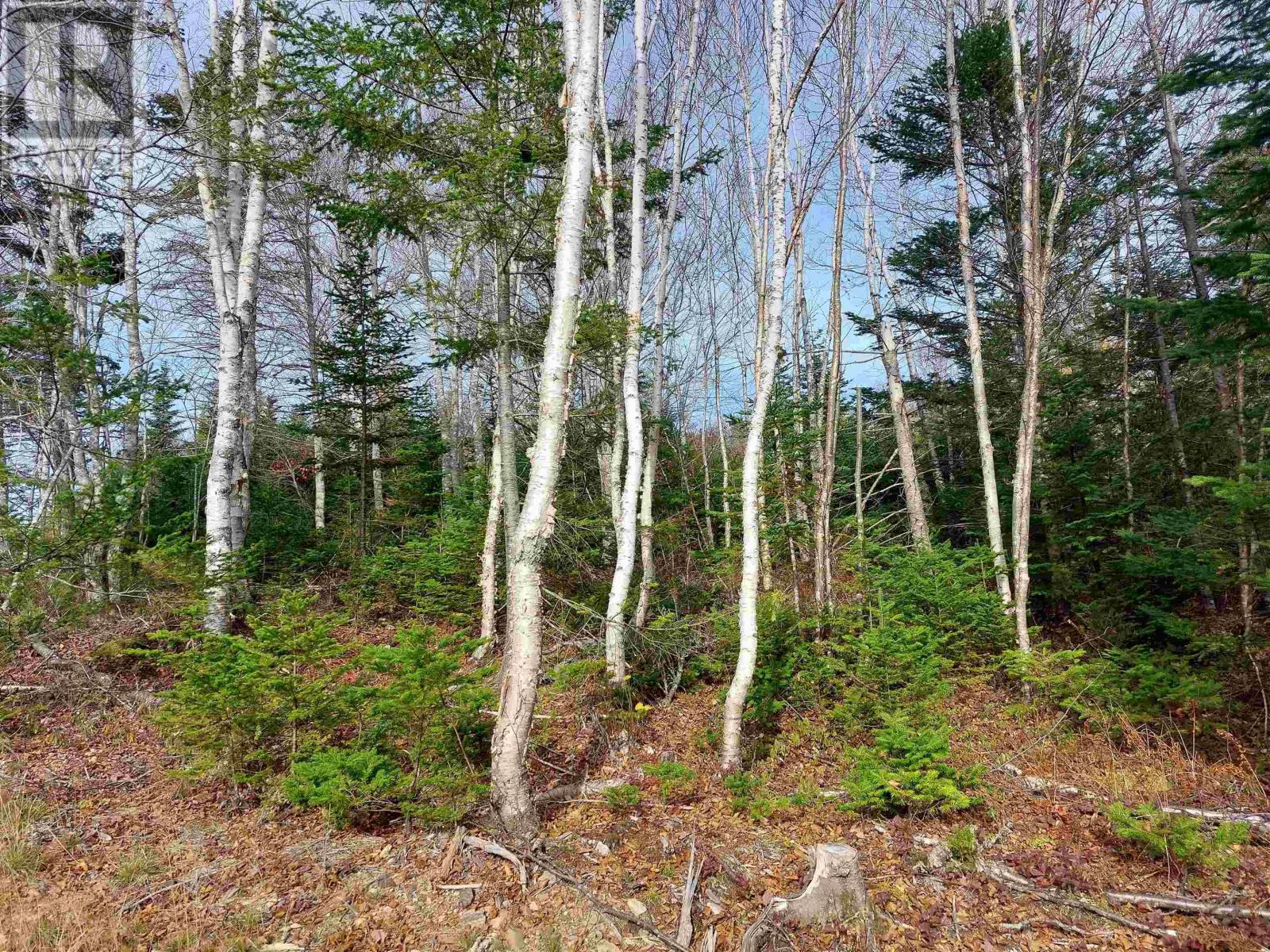 Lot 2 Bjoern Seelhorst Dr., French Road, Nova Scotia  B1K 0B1 - Photo 6 - 202419264