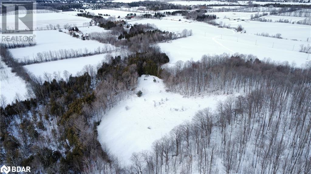 1936 Highway 11, Oro-Medonte, Ontario  L0L 2L0 - Photo 11 - 40527609