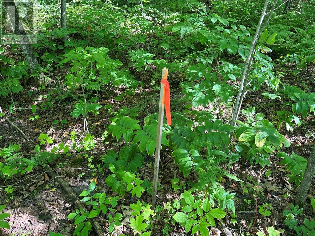 N/a Monument Road, Spring Bay, Ontario  P0P 2N0 - Photo 10 - 2118483