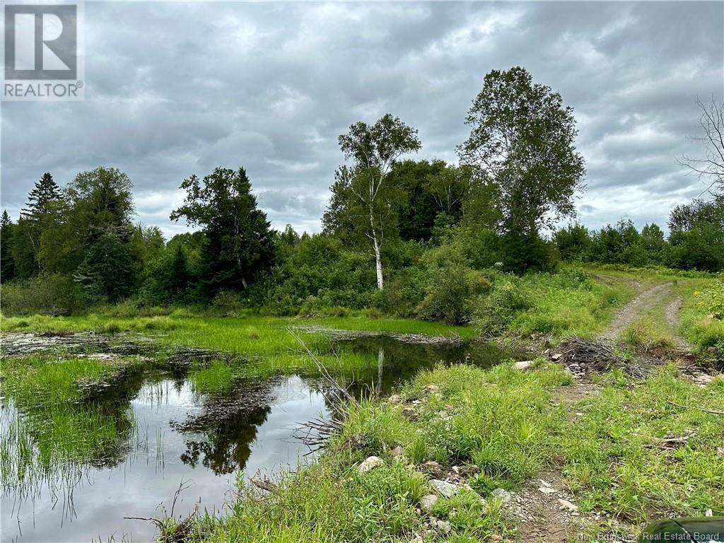 - Sisson Ridge Road, Sisson Ridge, New Brunswick  E7G 3X1 - Photo 4 - NB104198