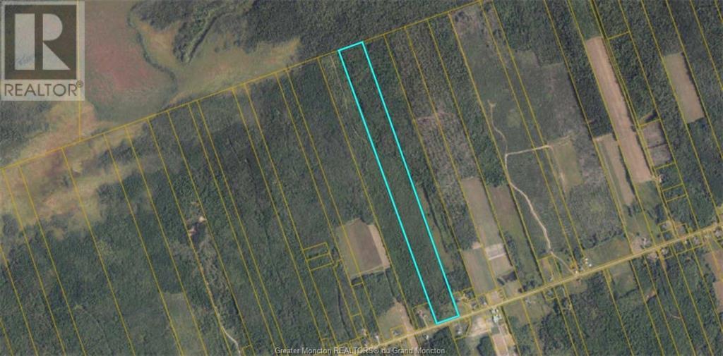Lots Rte 480, Acadieville, New Brunswick  E4Y 2C3 - Photo 1 - M161606