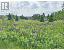 PT LT 13 McKirdy Avenue, nipigon, Ontario