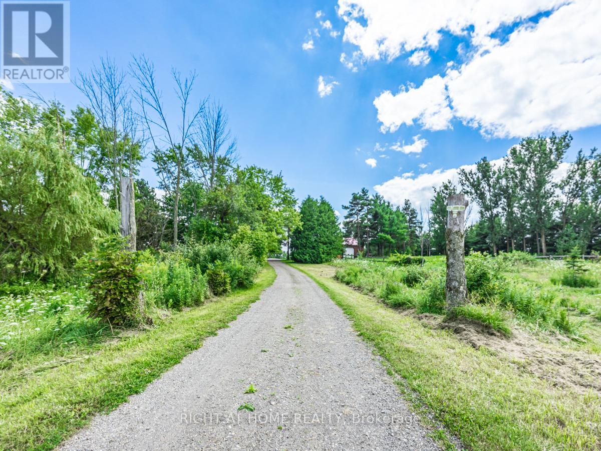 7975 18th Side Road, King, Ontario  L0G 1T0 - Photo 3 - N9249885