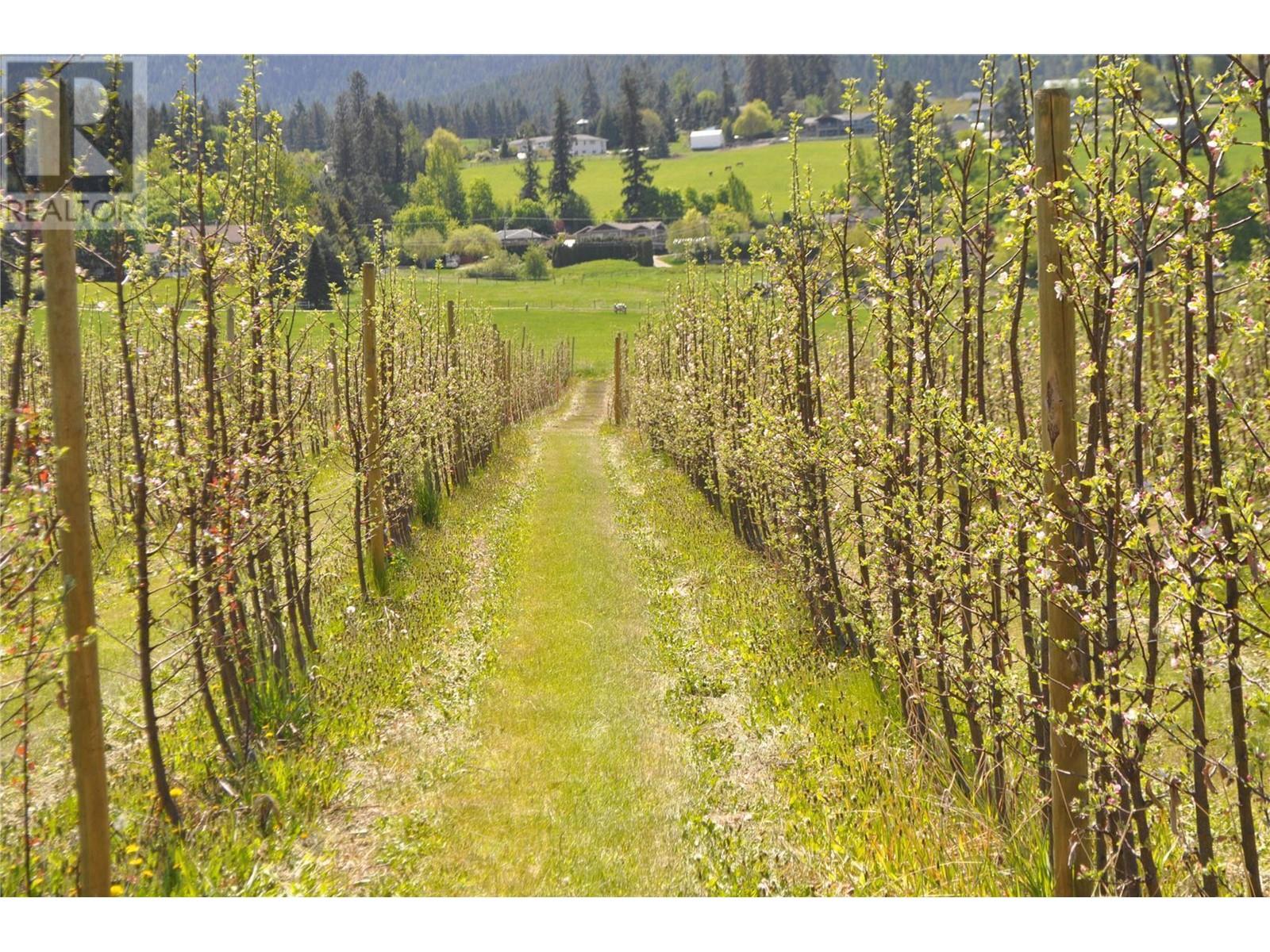 Lot 6 Springfield Road, Coldstream, British Columbia