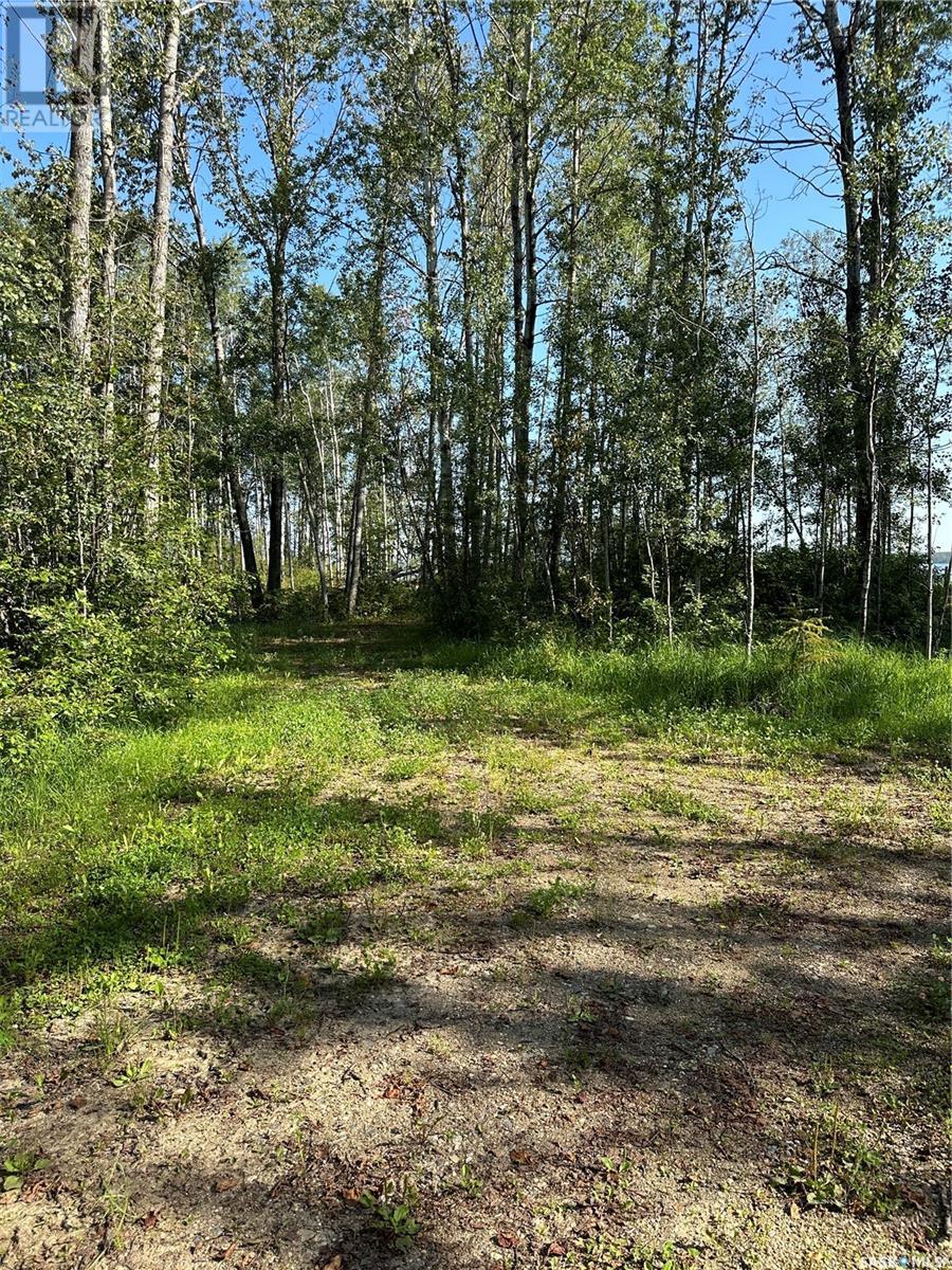 11 Delaronde Way (Lake Front Jd Estates), Big River Rm No. 555, Saskatchewan  S0J 0E0 - Photo 9 - SK979661