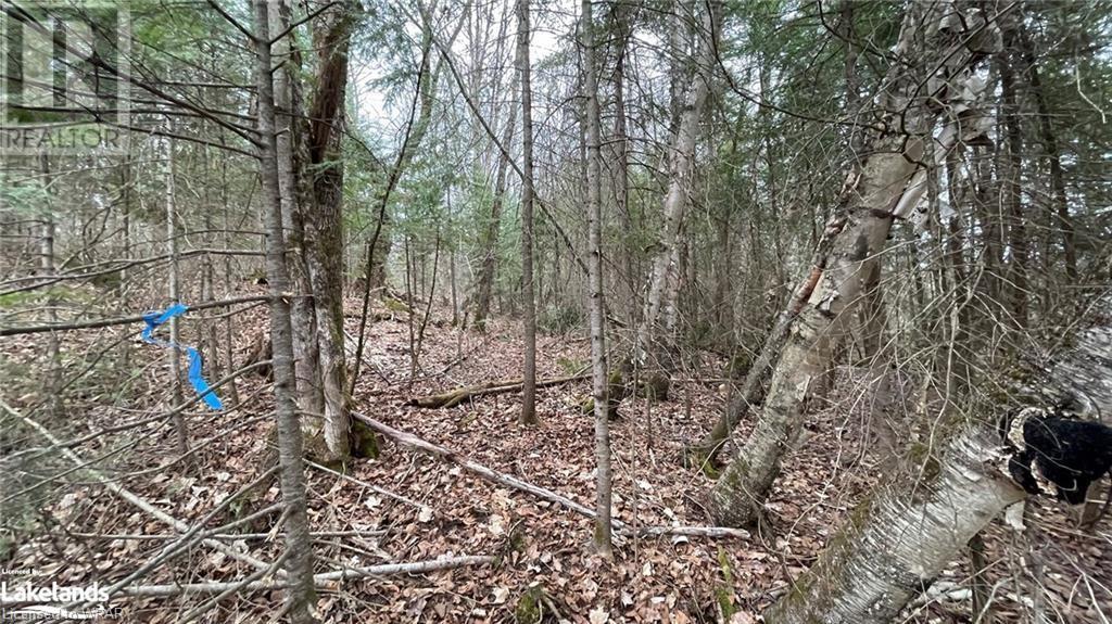 0 Balsam Road, Mckellar, Ontario  P0G 1C0 - Photo 10 - 40631707