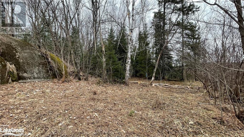 0 Balsam Road, Mckellar, Ontario  P0G 1C0 - Photo 4 - 40631707