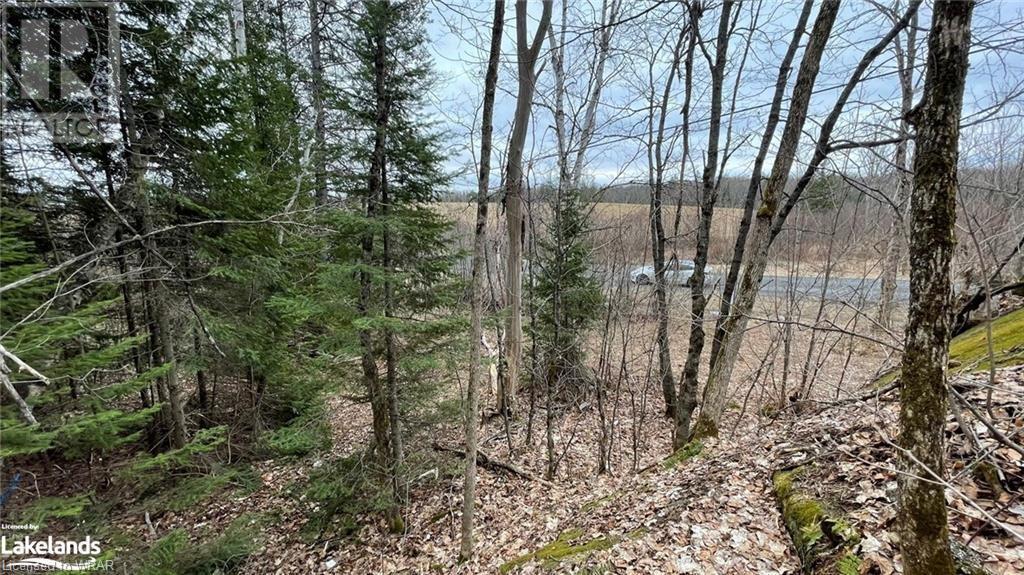 0 Balsam Road, Mckellar, Ontario  P0G 1C0 - Photo 5 - 40631707