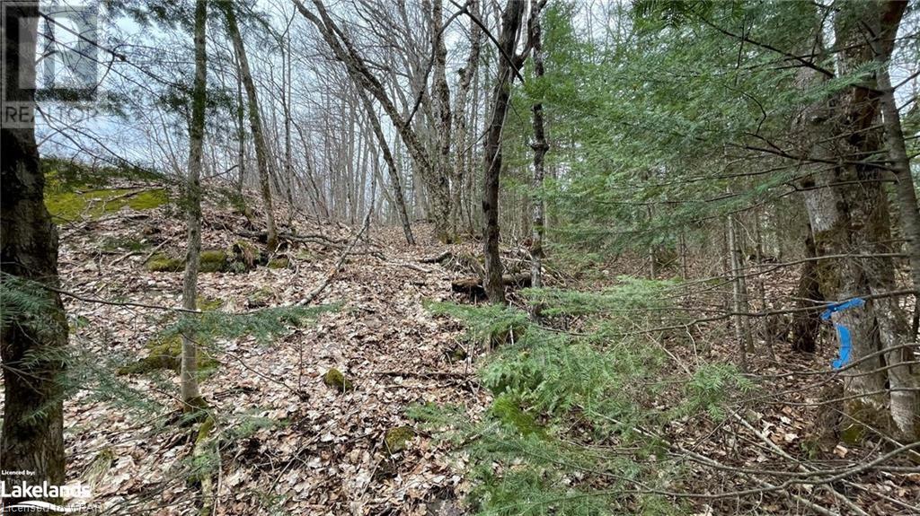 0 Balsam Road, Mckellar, Ontario  P0G 1C0 - Photo 8 - 40631707