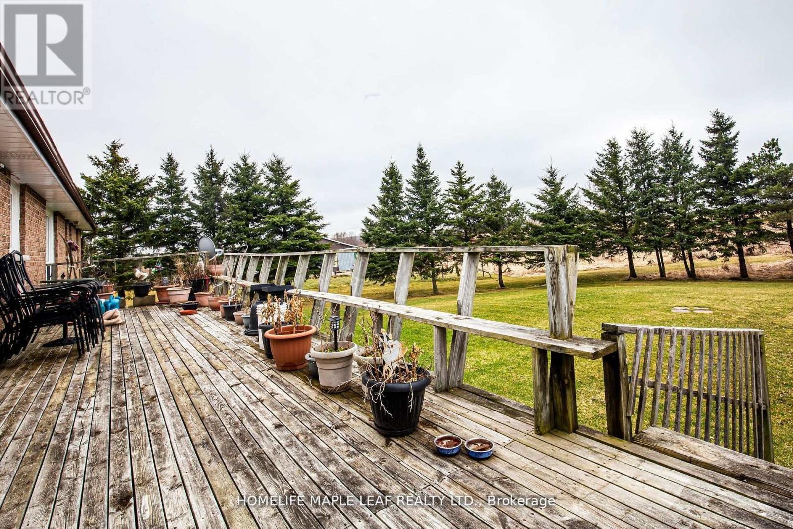 157240 Highway 10, Melancthon, Ontario  L9V 2G7 - Photo 26 - X9251154