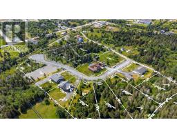 11 Alex Moores Court, harbour grace, Newfoundland & Labrador