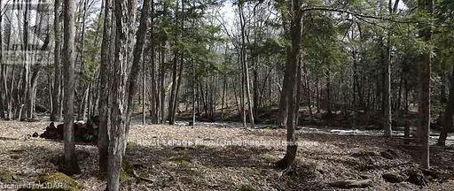 Lot 4 Future Lane, Stirling-Rawdon, Ontario  K0K 2M0 - Photo 2 - X9252479