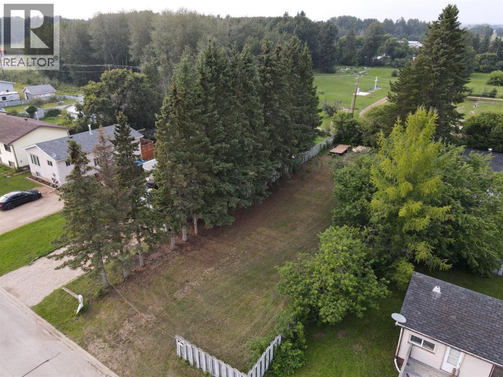 4808 59a Avenue, High Prairie, Alberta  T0G 1E0 - Photo 6 - A2157429