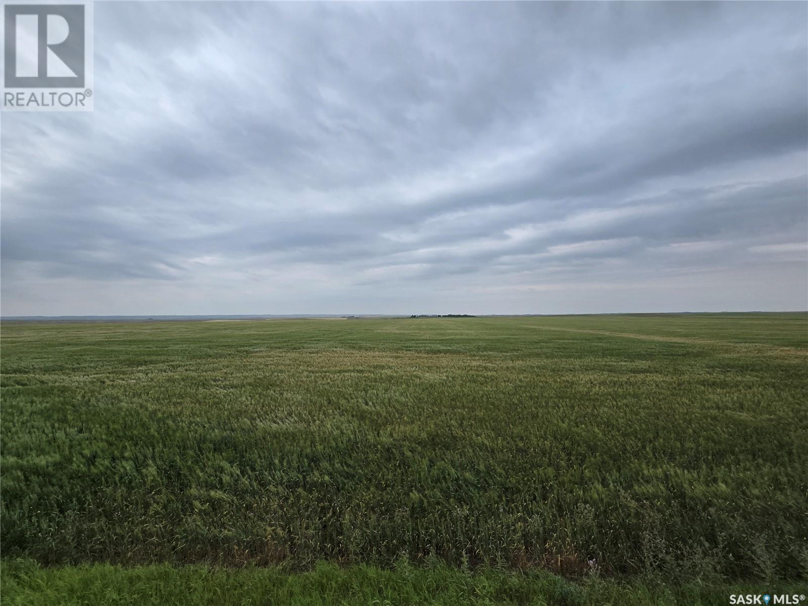 Kayville 8 1/4's Grain Land, Key West Rm No. 70, Saskatchewan  S0H 2C0 - Photo 6 - SK980572