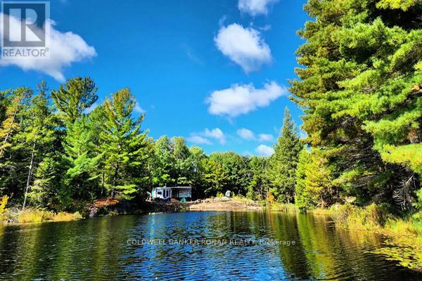 1187 Windermere Route, Muskoka Lakes, Ontario  P0B 1M0 - Photo 15 - X9253044