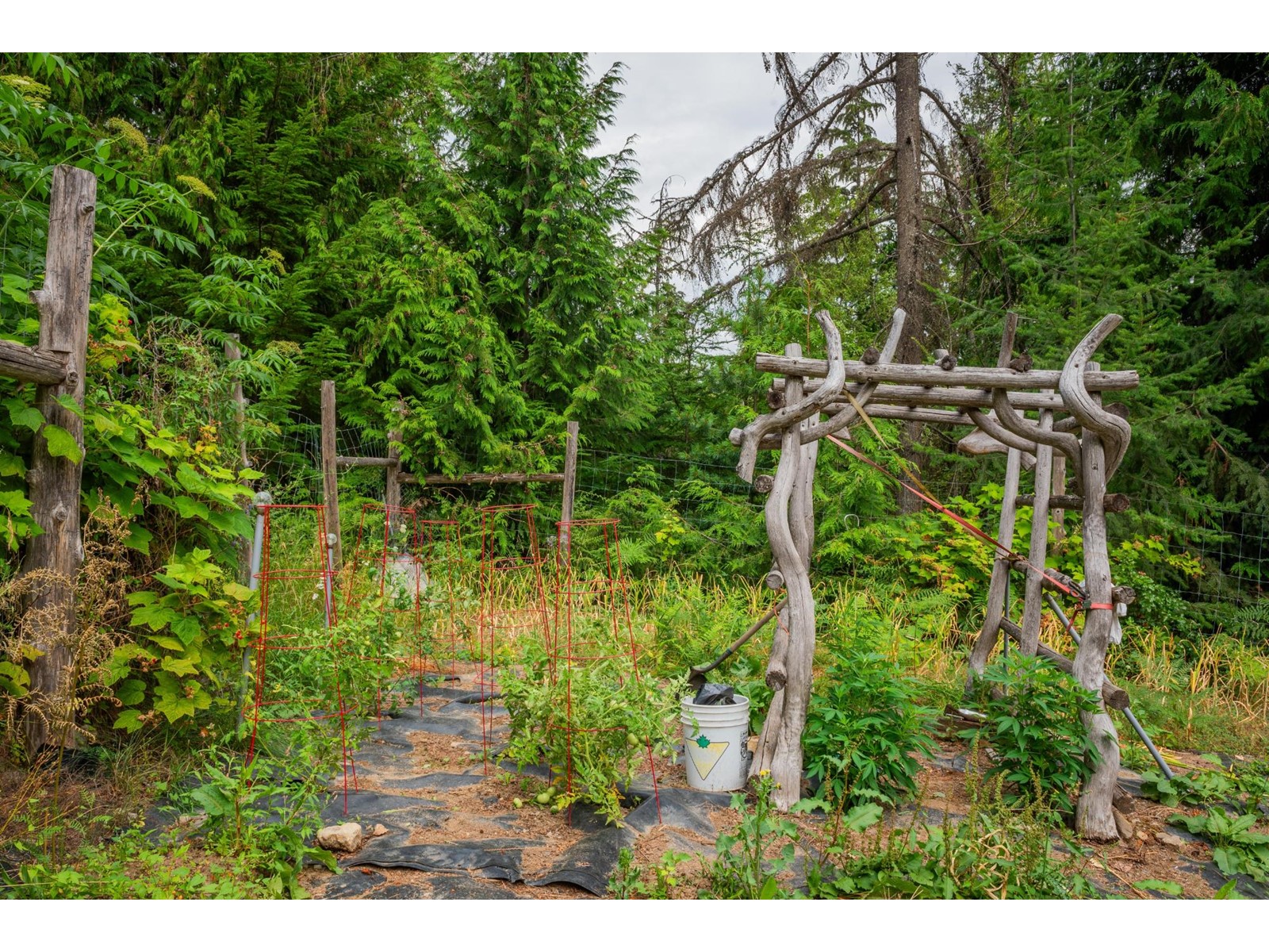 9413 Shutty Bench Road, Kaslo, British Columbia  V0G 1M0 - Photo 12 - 2478990