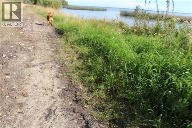 Lorem Ipsum Dolor Si, Plamondon, Alberta  T0A  - Photo 7 - DEMO26584357